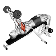 Ez barbell down prostowanie tricepsów
