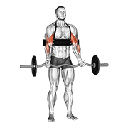 Uginanie bicepsów sztangą ez (z wyrzutnią ramion)