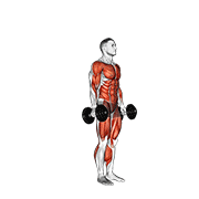 Burpee z hantlami