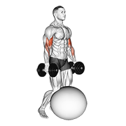 Piłka do ćwiczeń na biceps z hantlami w siadzie klęcznym