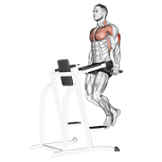 Dip na triceps