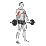 Ez-barbell stojąc, uginanie bicepsów szerokim chwytem