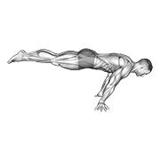 Pełna planche