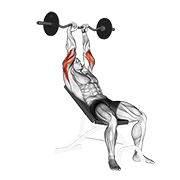 Ez barbell prostowanie tricepsów na skosie