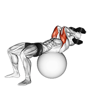 Piłka do ćwiczeń na triceps w leżeniu na plecach
