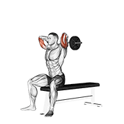 Ez barbell prostowanie tricepsów siedząc