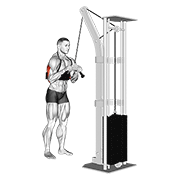 Wyciskanie na triceps wyciągiem linowym (drążek V) (z wyrzutnią ramion)
