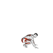 Burpee jacka